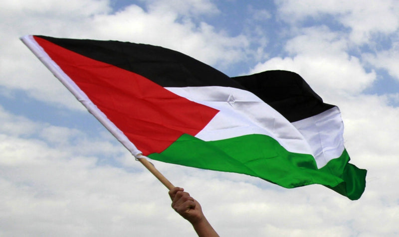 Palestine flag - 60 x 90 cm 
