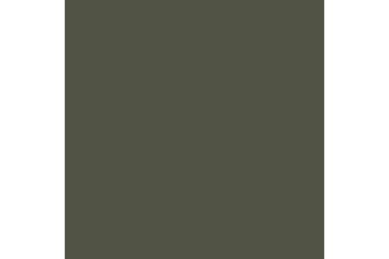 Cam. olive green mat 17ml ⎮ 8429551708944 ⎮ VE_422822 